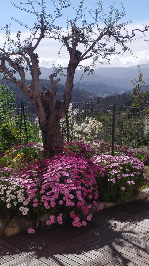 Studio Le Romantique A 20 Kms De Nice Bendejun ภายนอก รูปภาพ